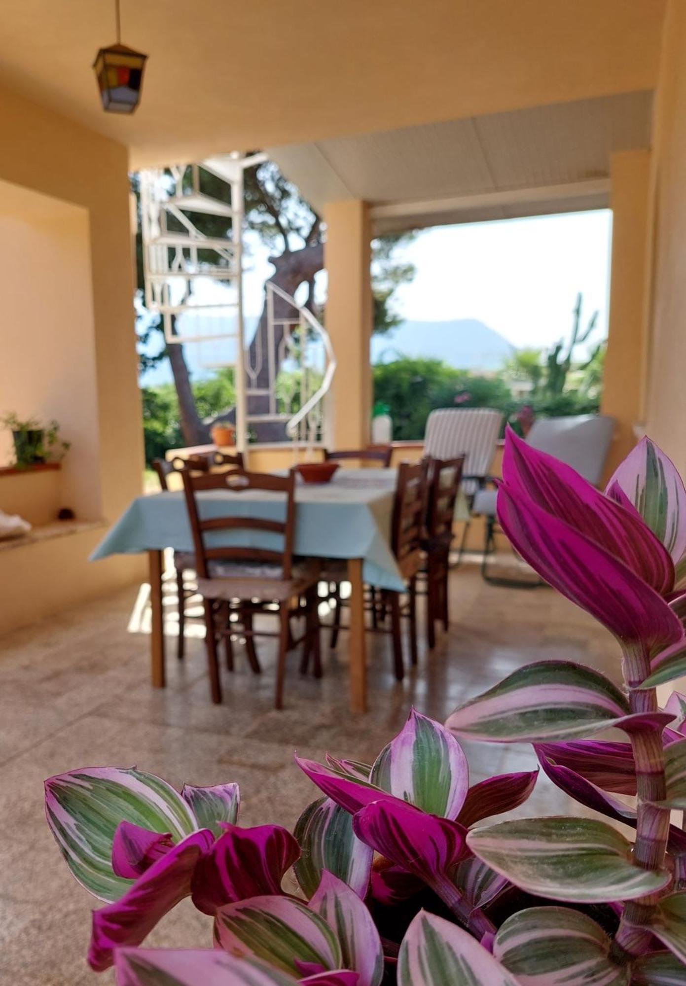 Villa Maria Teresa Capo Vaticano Exterior foto
